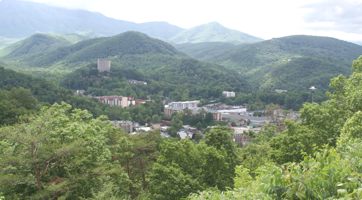 Quali sono le scelte di veicoli più popolari a Cherokee?